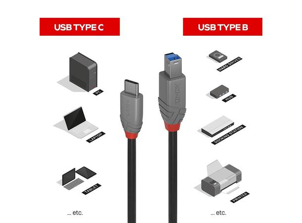 Lindy - USB-B til USB-C - 0,5 m USB 3.2 -  Sort 